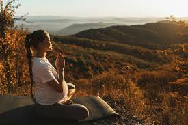 Holistic mental health support and bioresonance sessions in Randburg South Africa